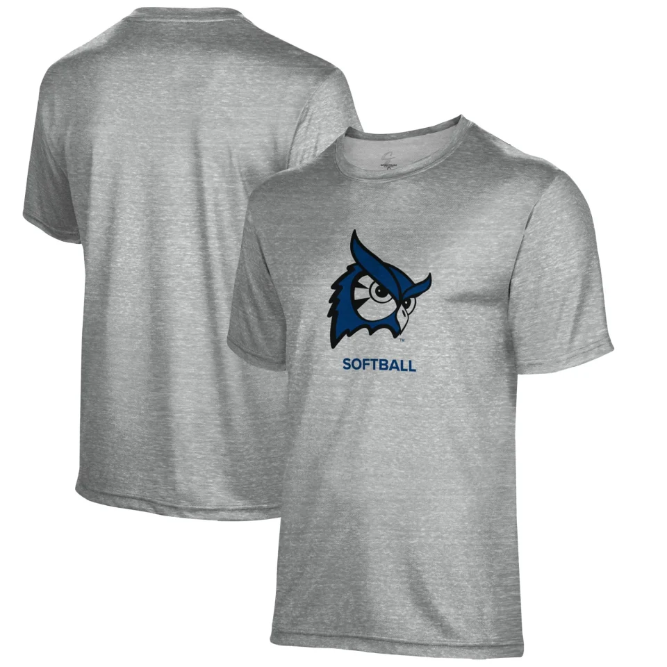 Core Stainless Steel Men's Gray Westfield State Owls Softball Name Drop T-Shirt